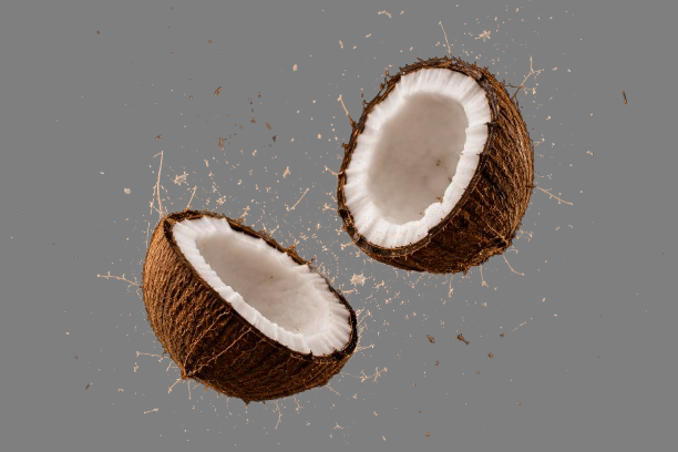 Copra Preparation